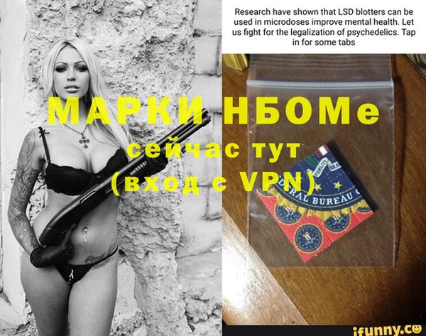 ПСИЛОЦИБИНОВЫЕ ГРИБЫ Магас