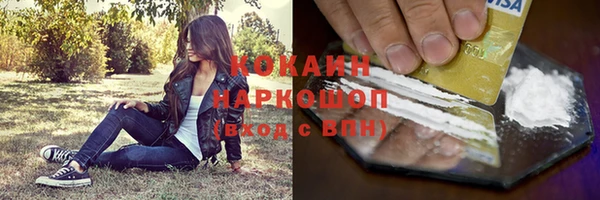 ПСИЛОЦИБИНОВЫЕ ГРИБЫ Магас