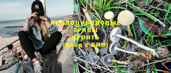 прущая мука Мегион